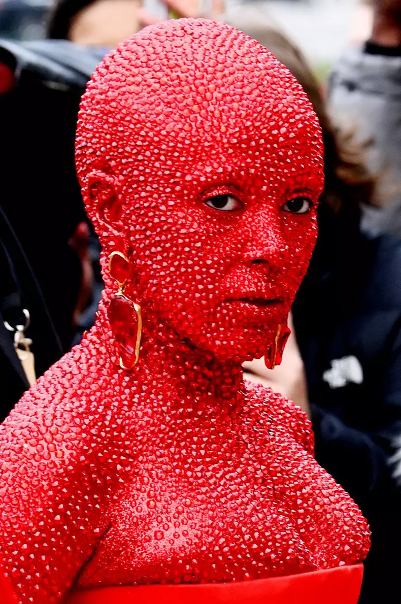 Schiaparelli show, Arrivals, Haute Couture Fashion Week, Paris, France - 23 Jan 2023