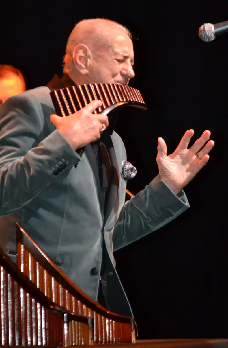 gheorghe zamfir casa