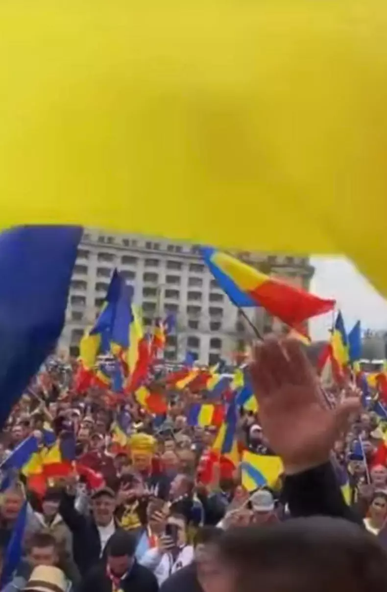 silvia dumitrescu protest6