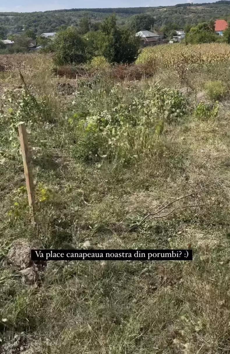 378290365_240708348968142_6759897516102561398_n
