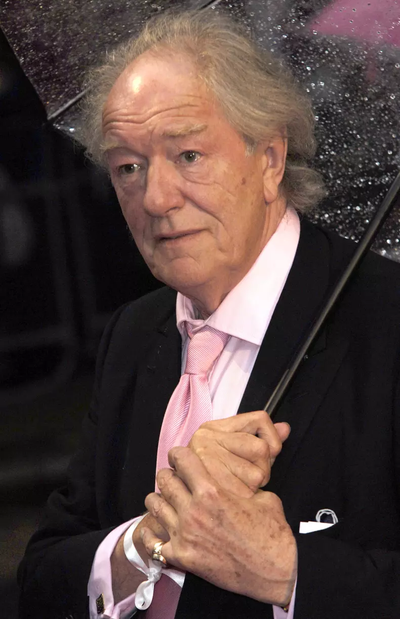 Cui i-a lasat Michael Gambon intreaga avere 