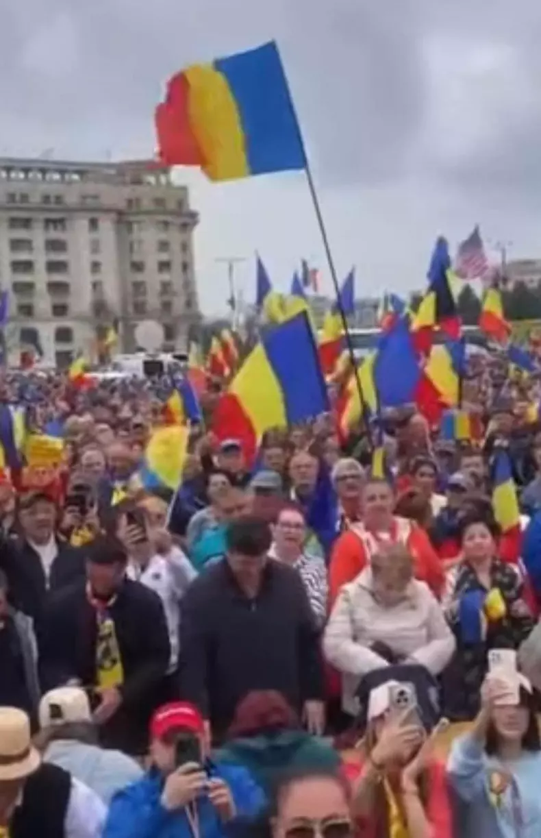 silvia dumitrescu protest8