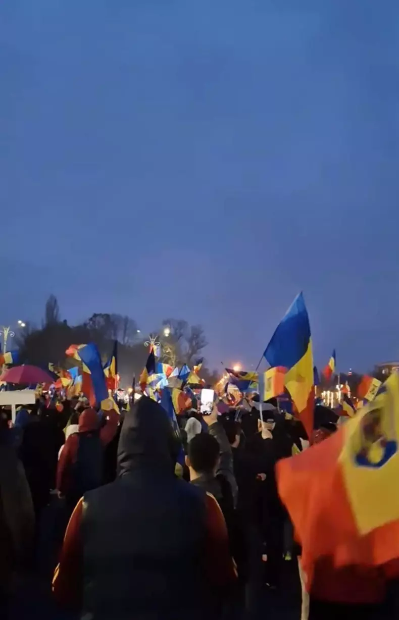 silvia dumitrescu protest13