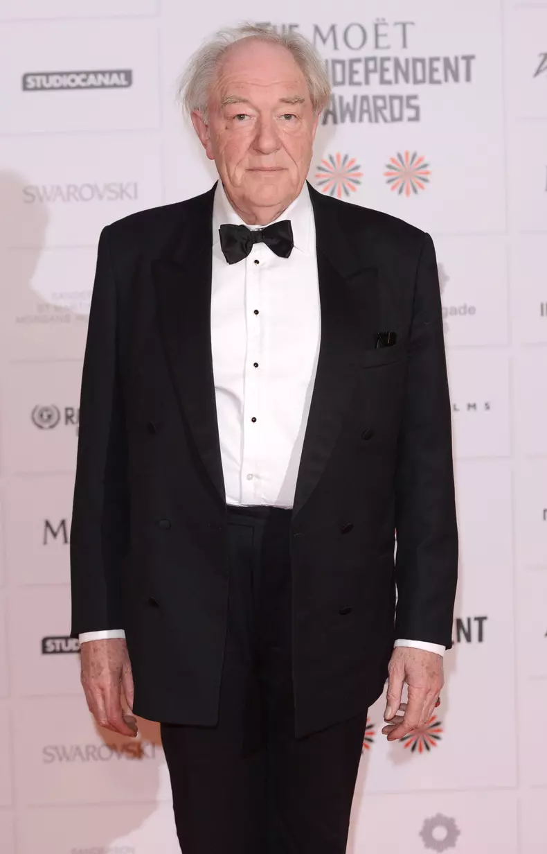 Cui i-a lasat Michael Gambon intreaga avere 