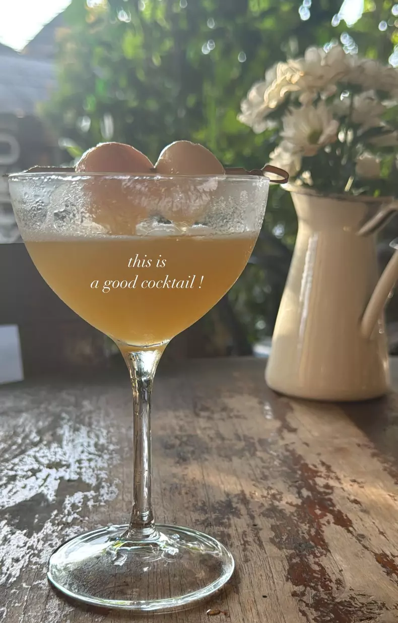 cocktail-gina