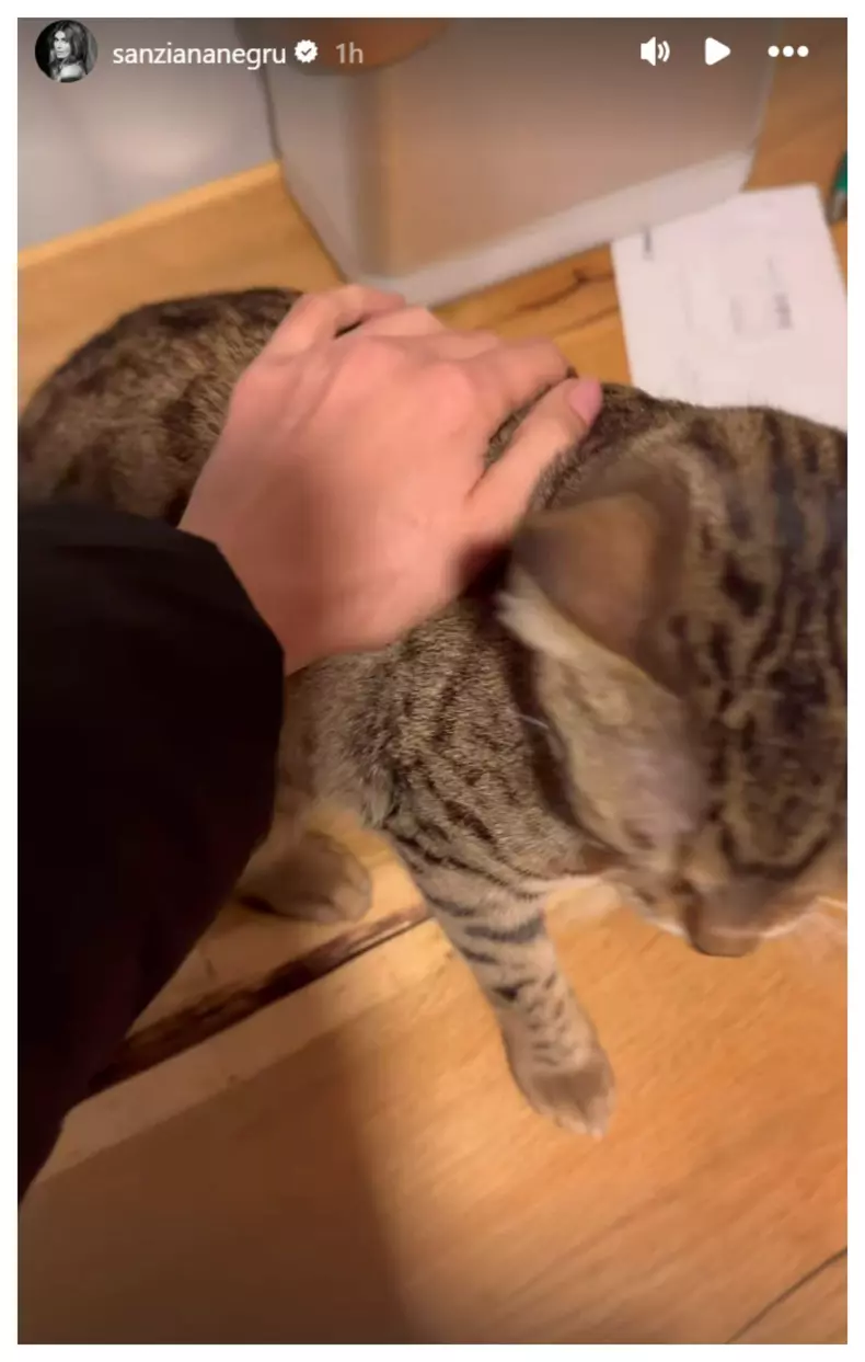 img2