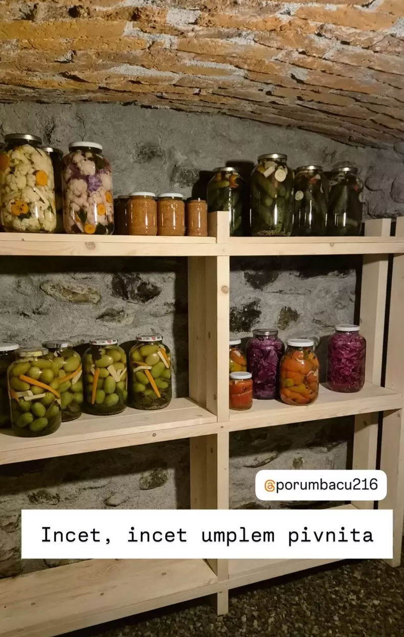 porumbacu-de-sus-pensiune-tudor-chirila (7)