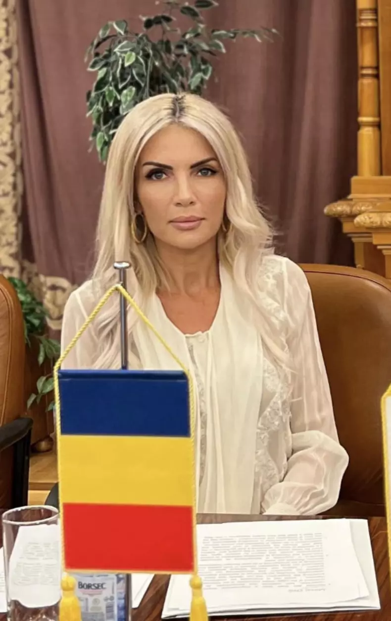 laura-vicol-5