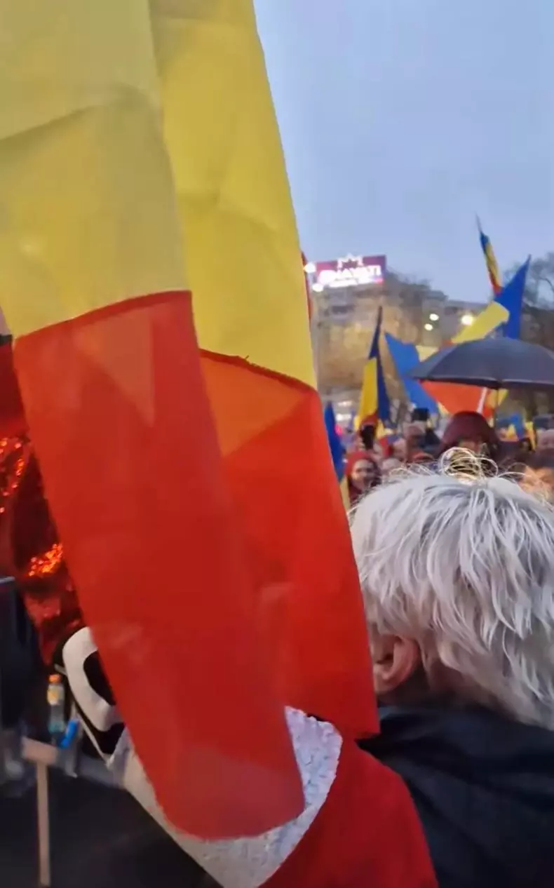 silvia dumitrescu protest11