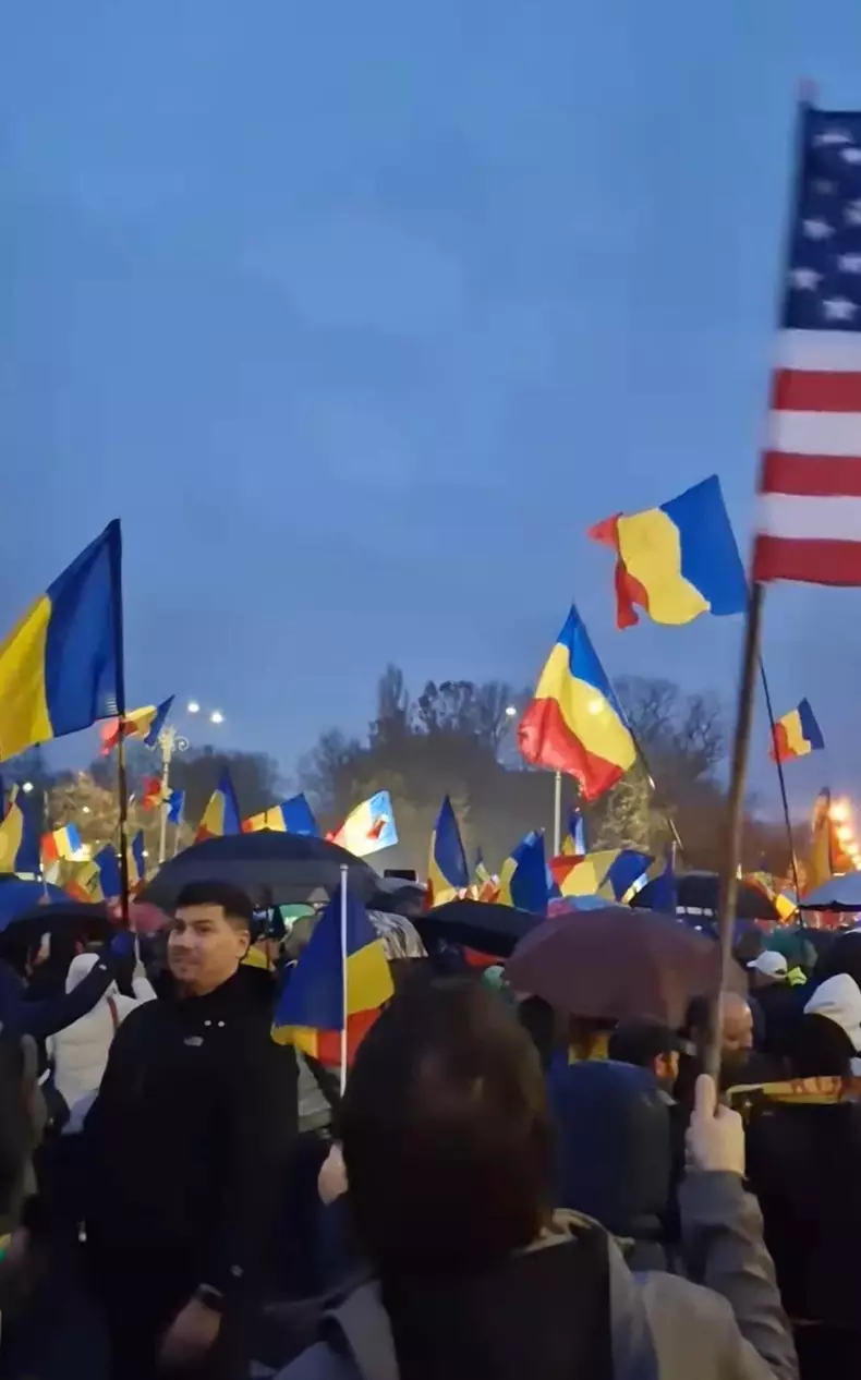 silvia dumitrescu protest9