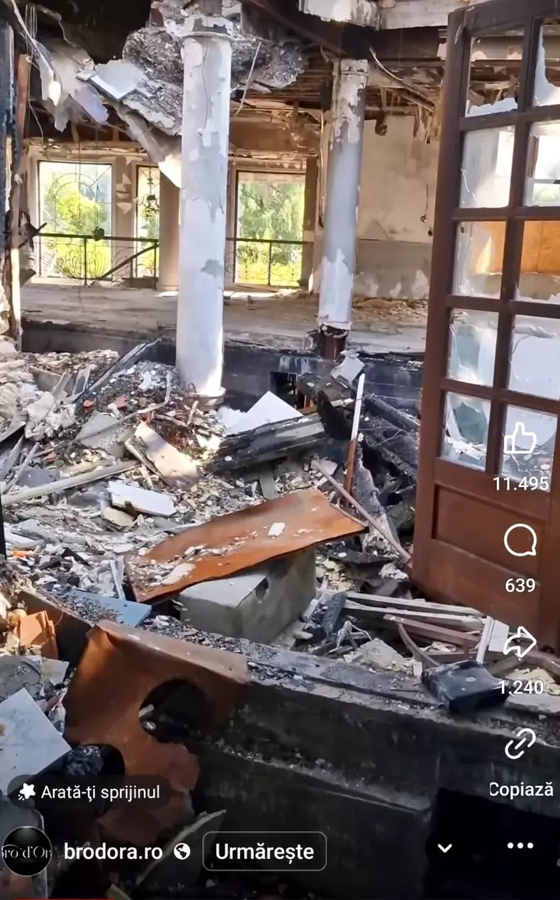 irinel-columbeanu-13