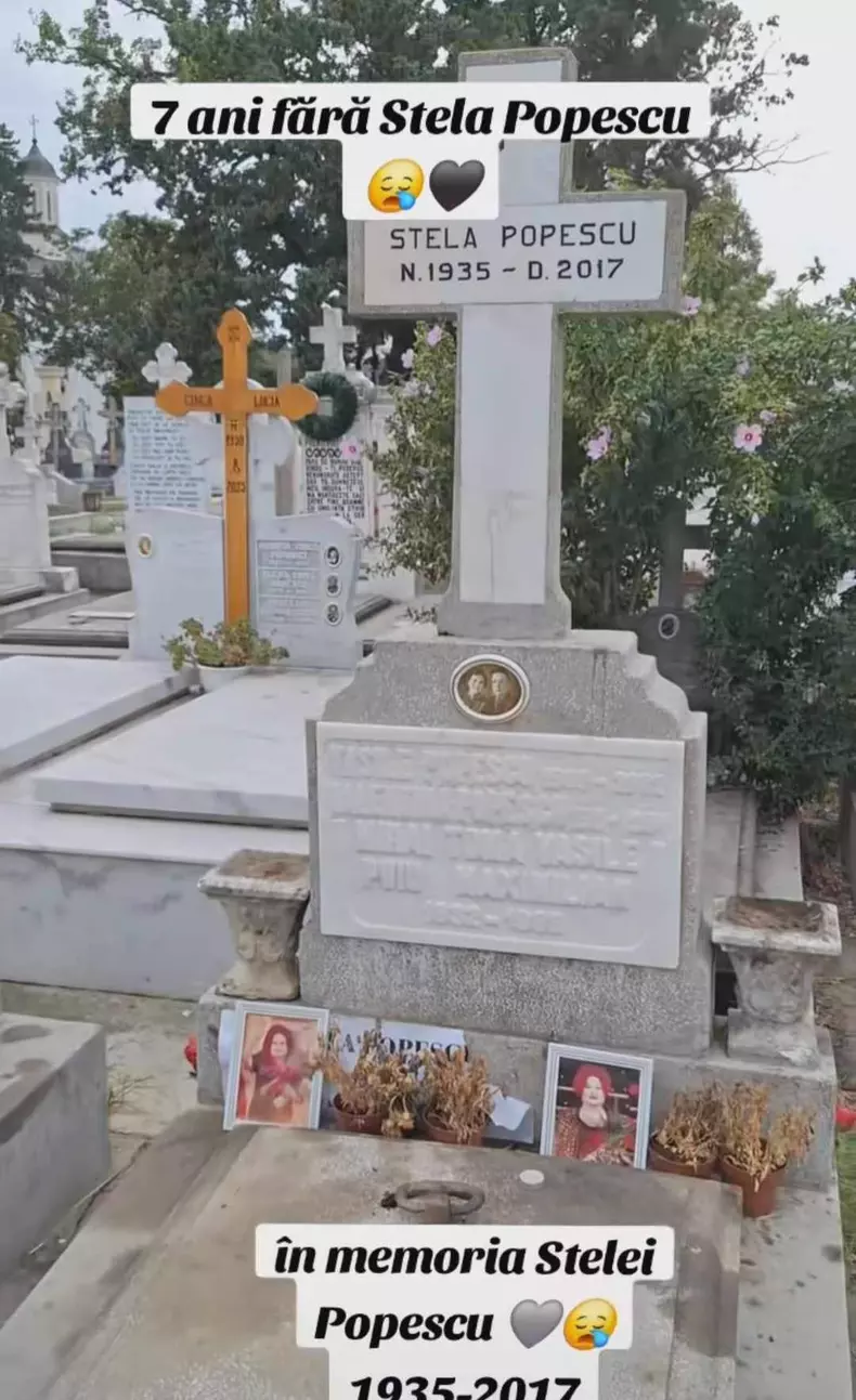 stela3