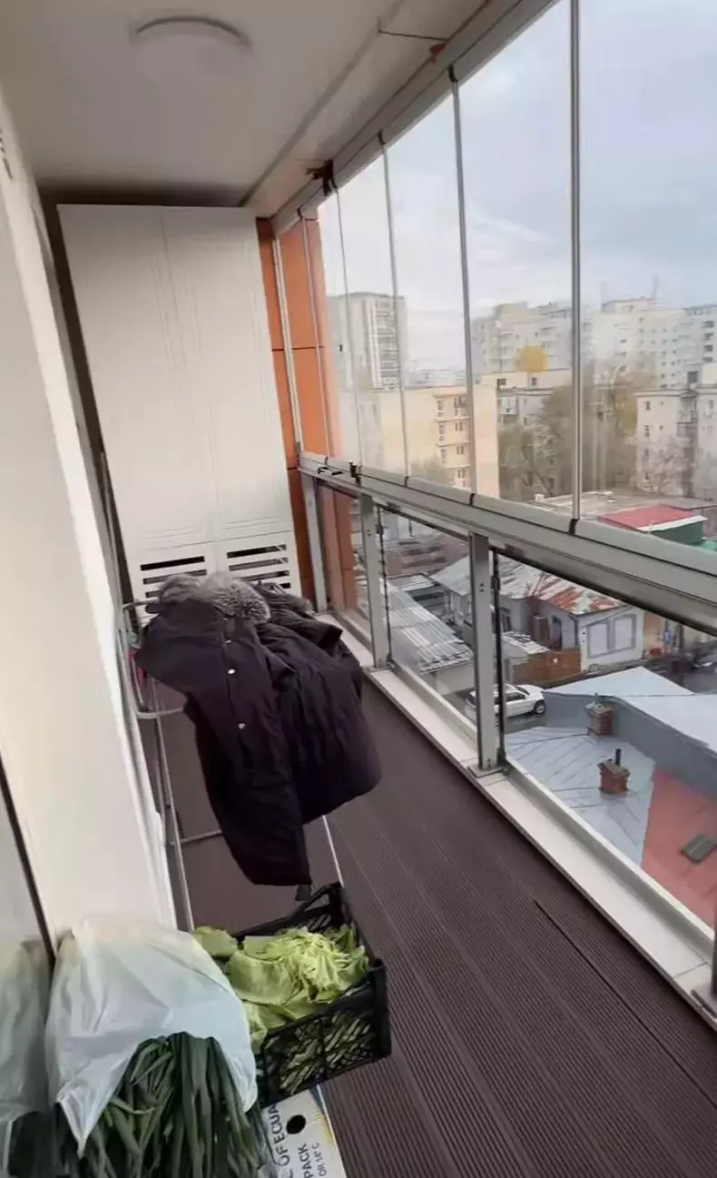 balcon andreea tonciu