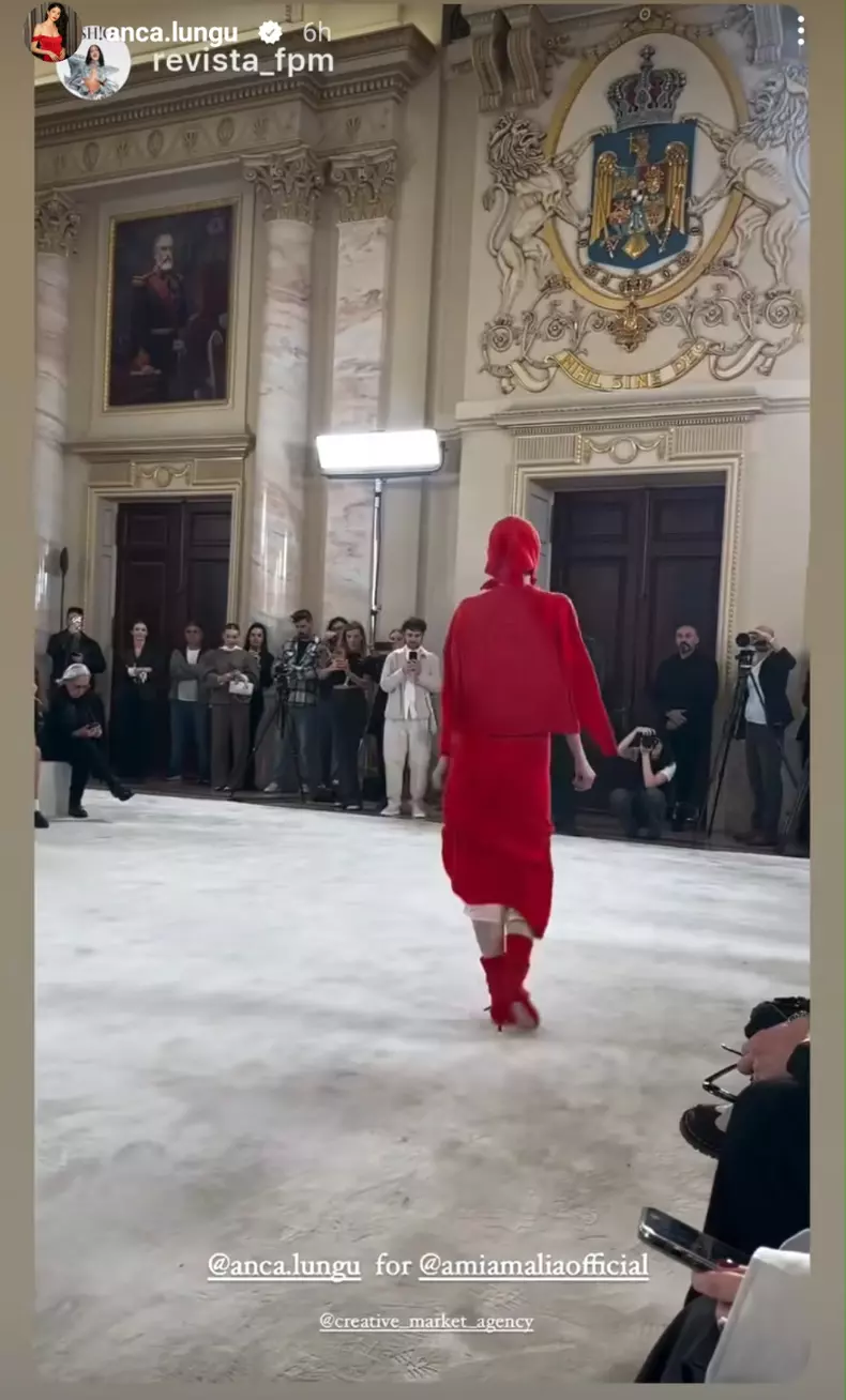 anca lungu 3