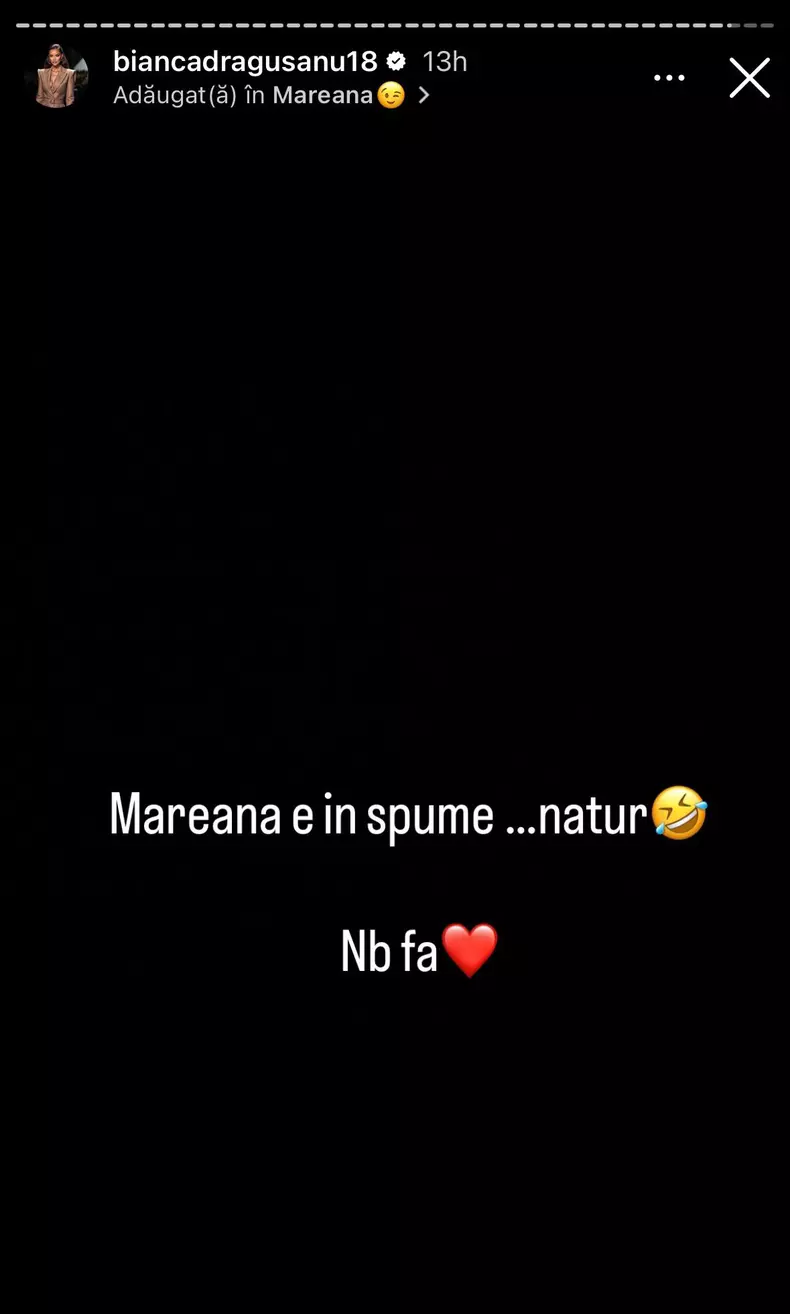 bianca dragusanu postare10