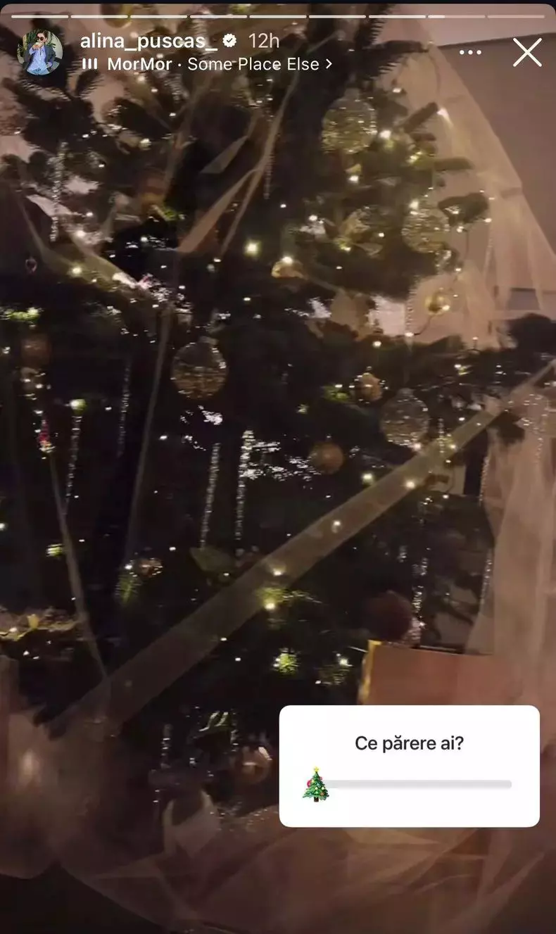 brad cu voal alina puscas