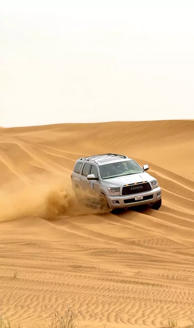 17. DESERT SAFARI