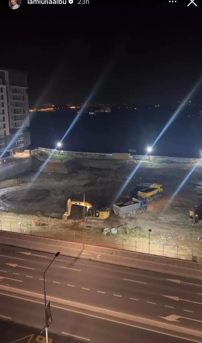 Iulia ALbu a alertat politia