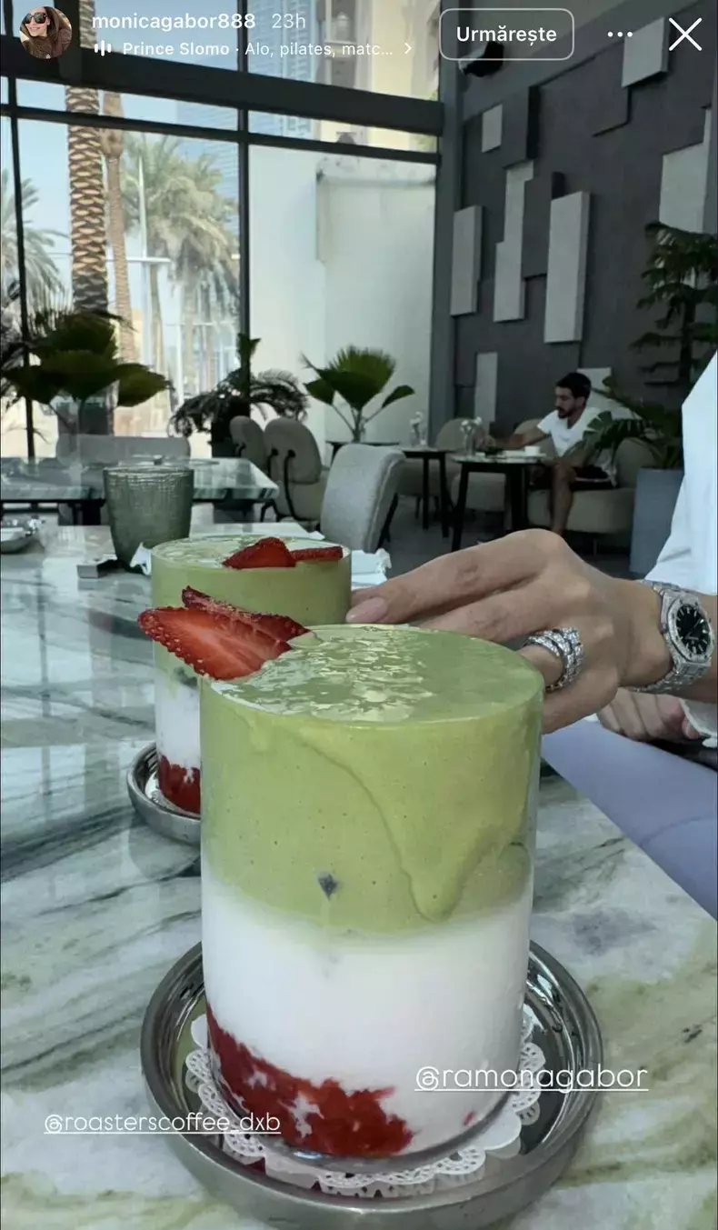 ramona si monica gabor in Dubai 4