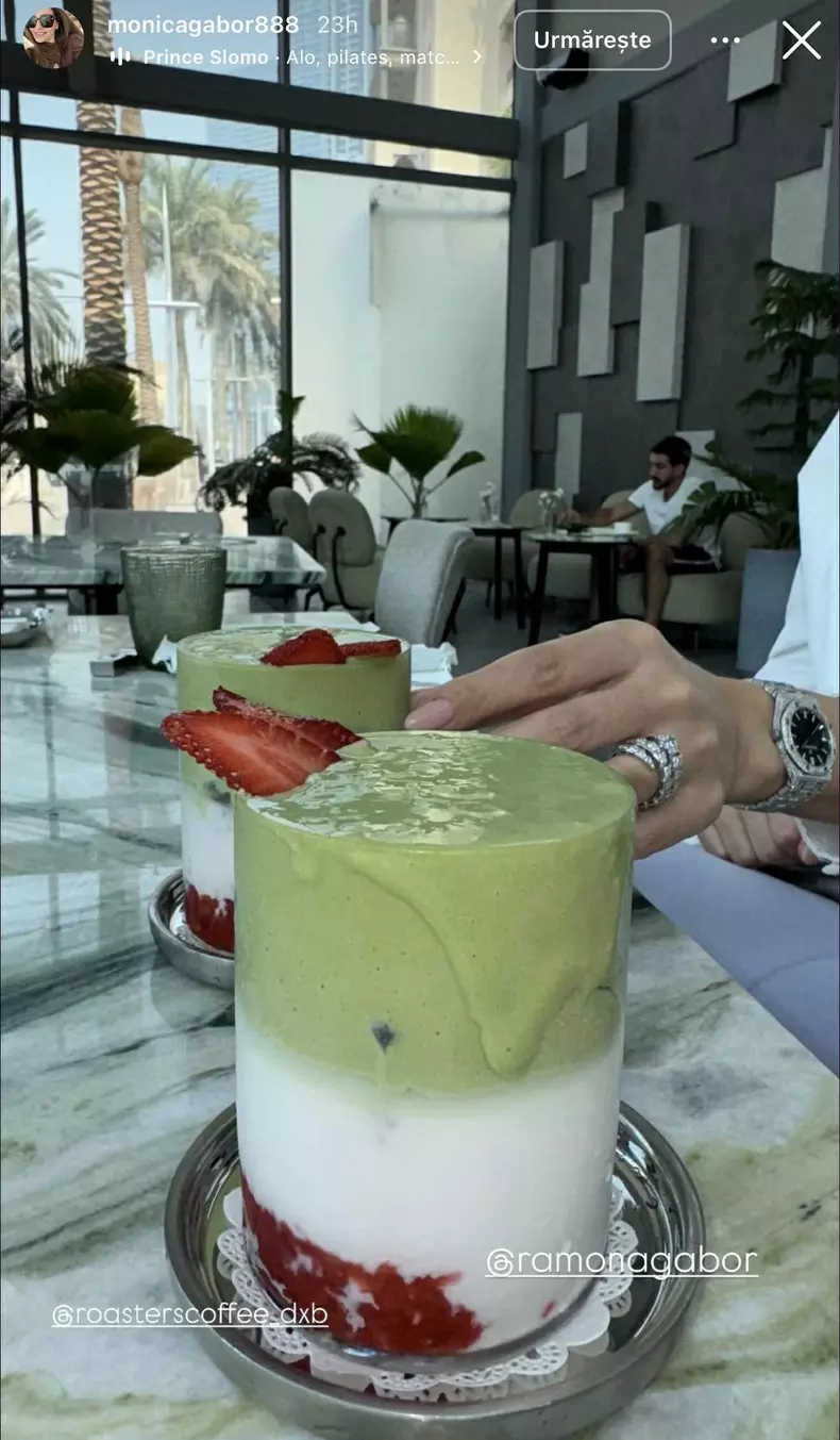 ramona si monica gabor in dubai (3)