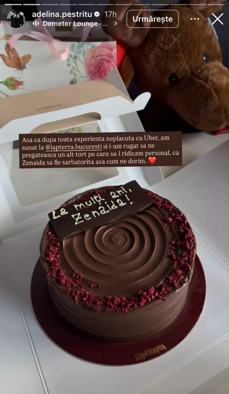 adelina pestritu postare4