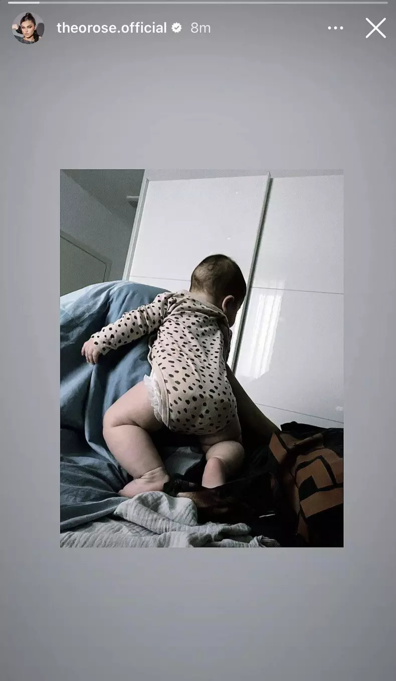 theo rose
