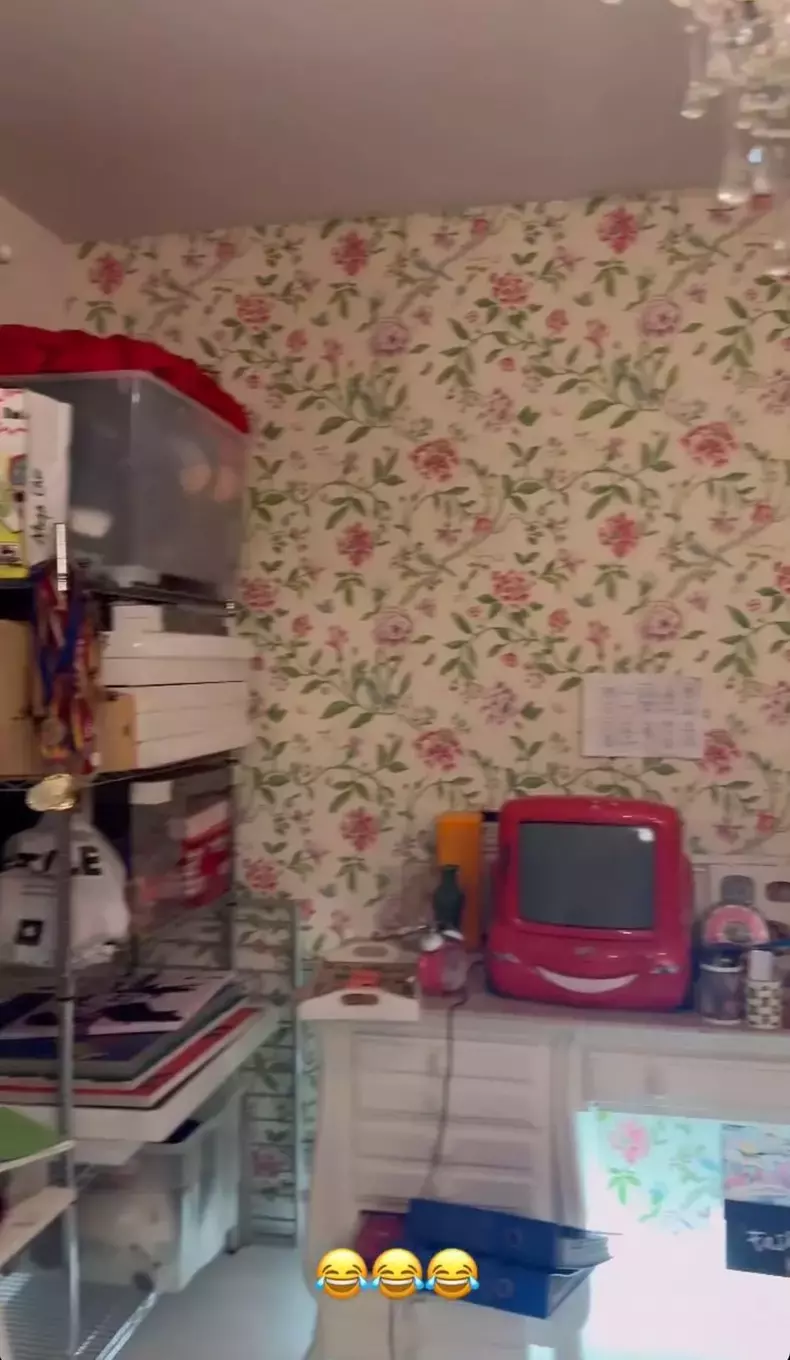 Alexia Eram, imagini din camera din copilărie  (2)
