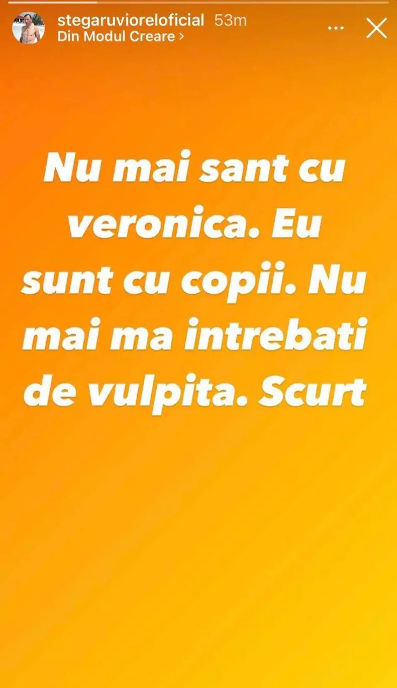 mesaj viorel stegaru