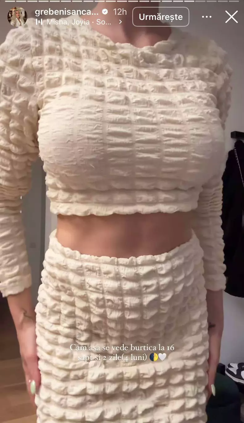 carmen grebenisan insarcinata2