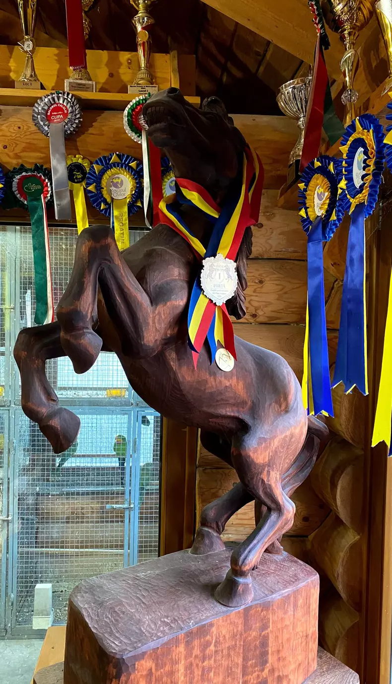 roventura-19-martie-2022-13