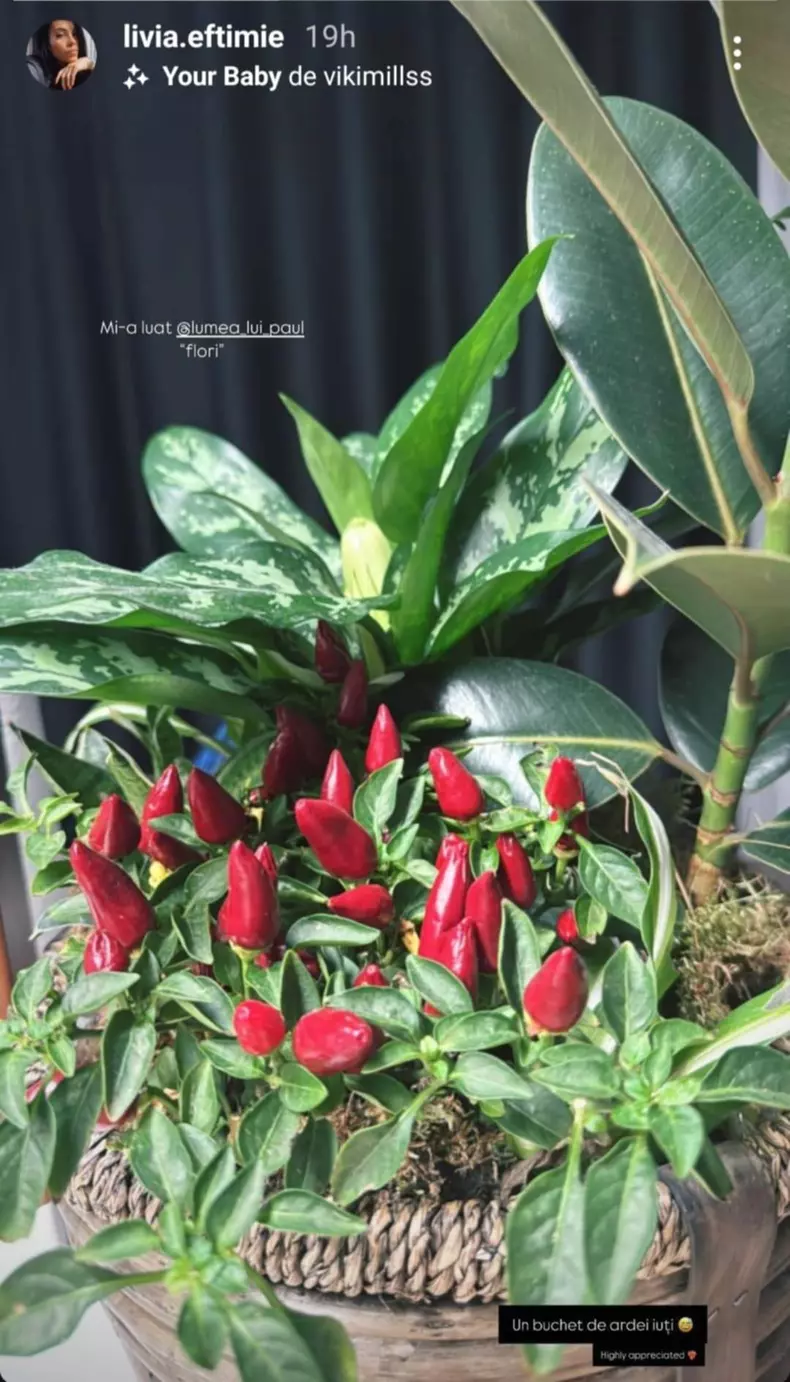 Livia Eftimie a primit un buchet de ardei iuți de la Spike