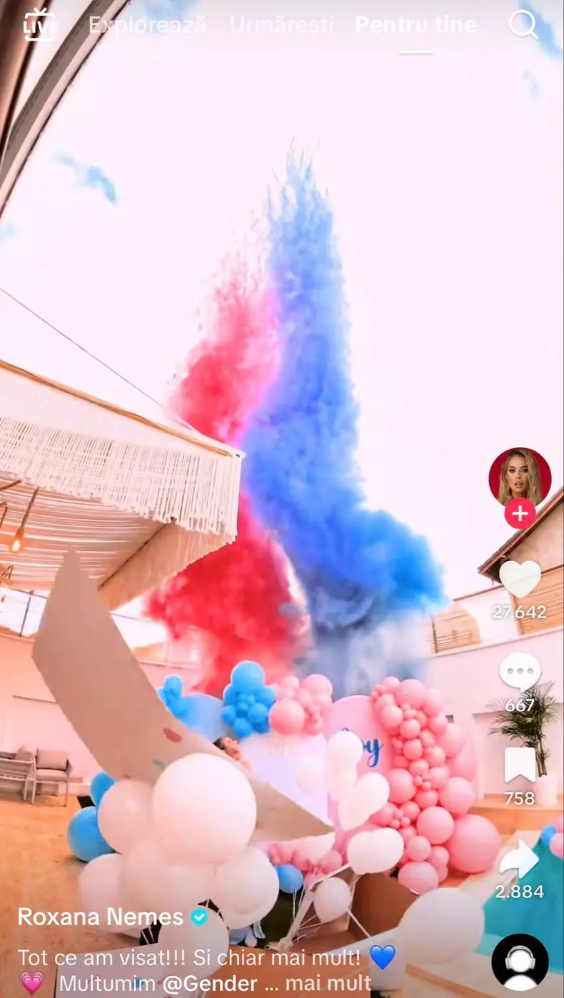 roxana nemes gender reveal6