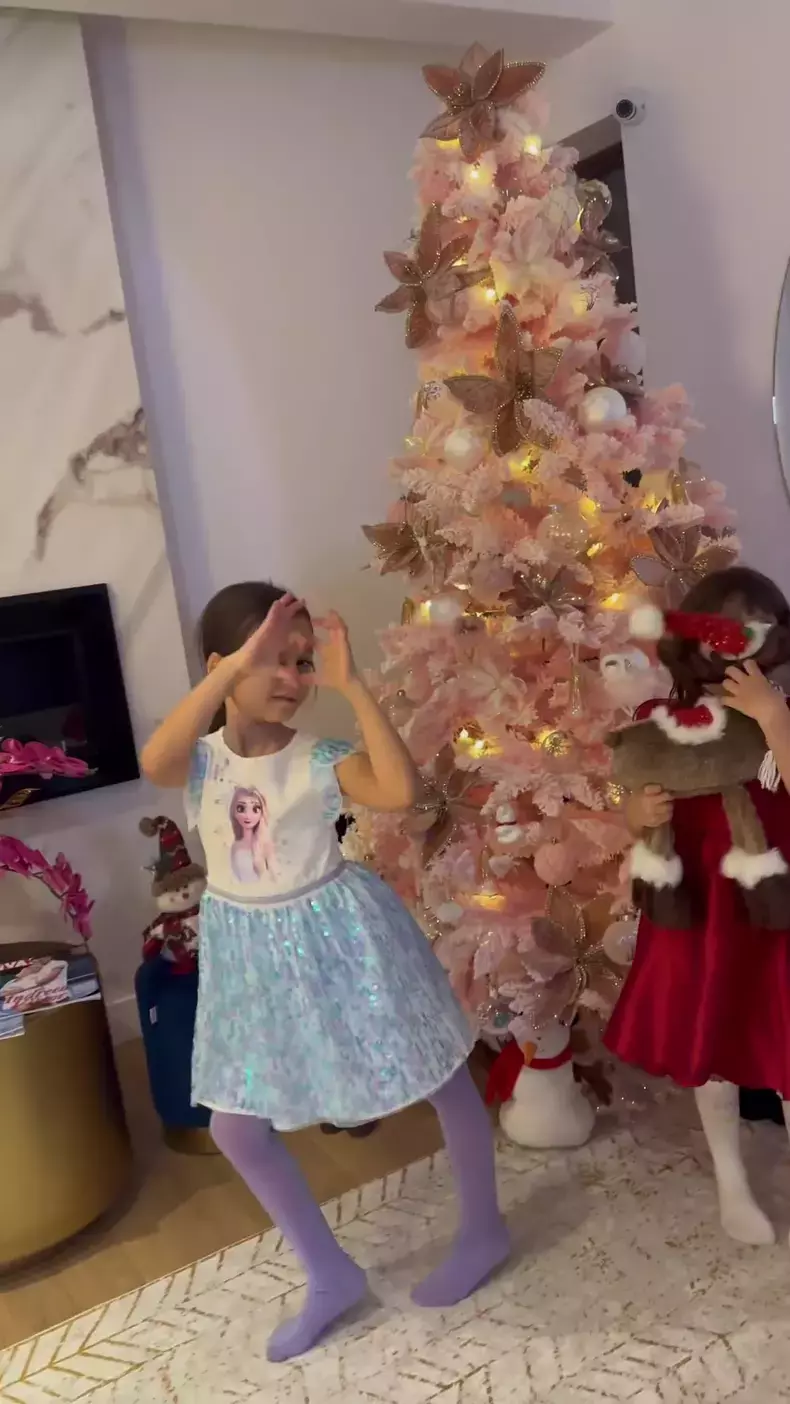 andreea-balan-brad-craciun-roz-2