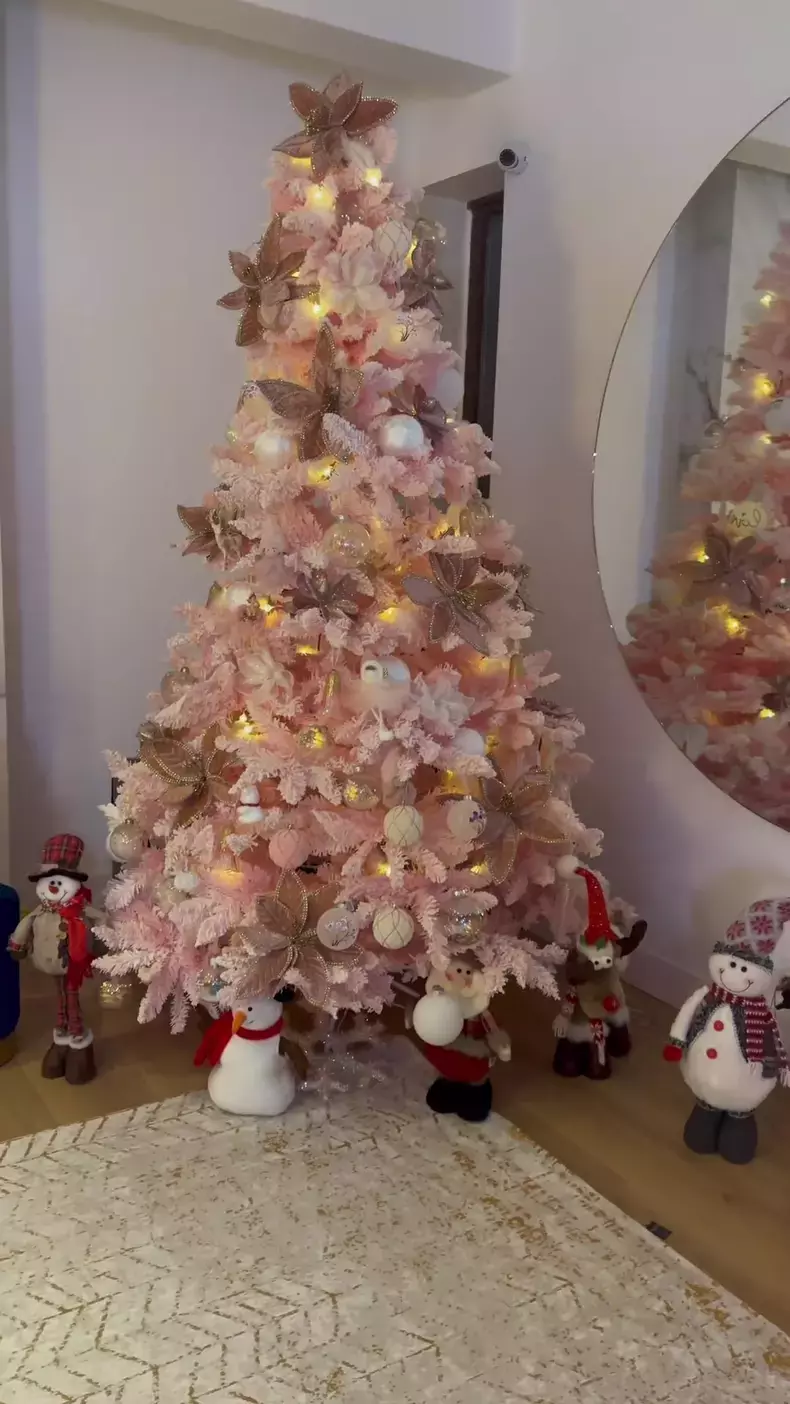 andreea-balan-brad-craciun-roz-3