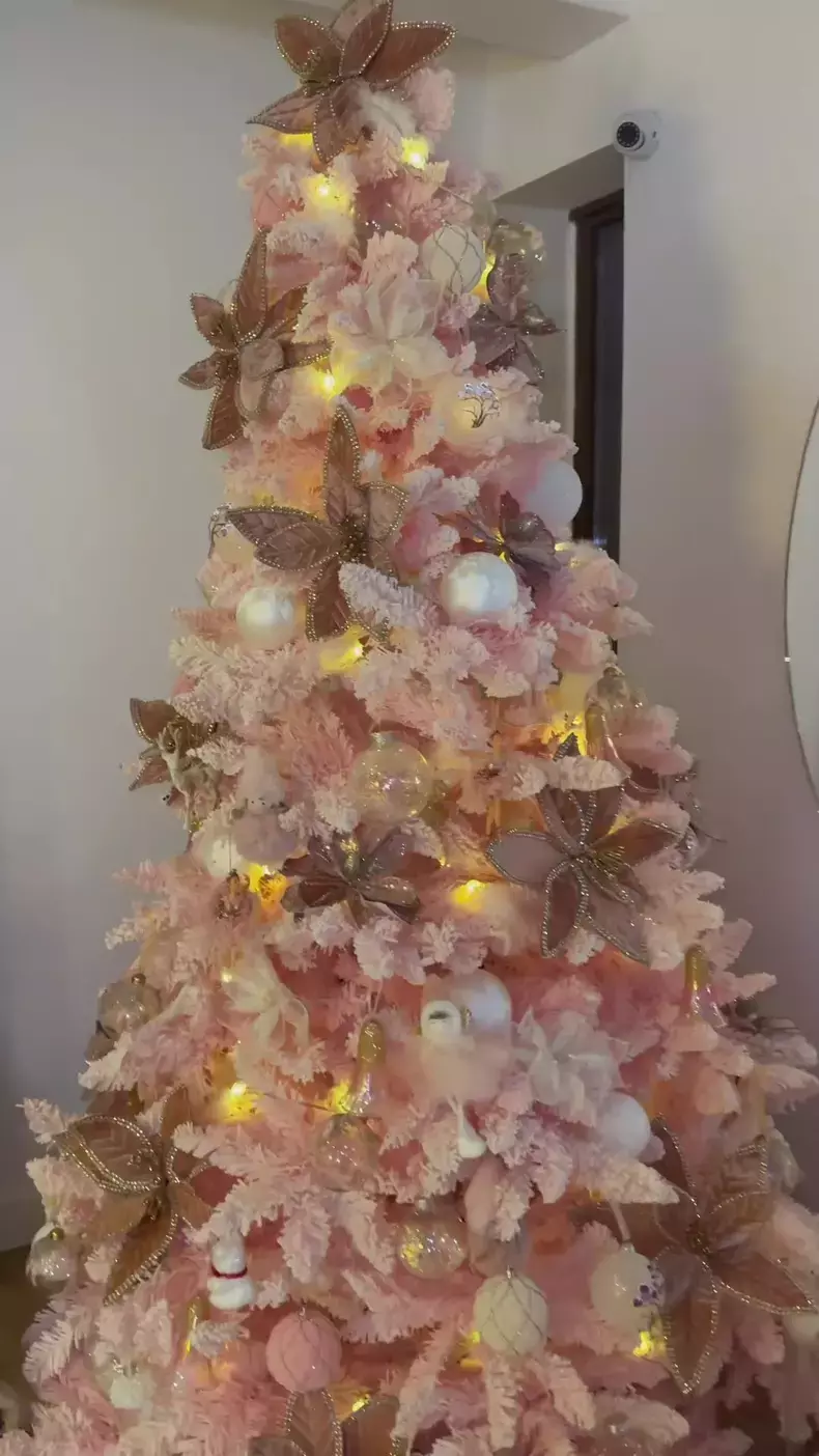 andreea-balan-brad-craciun-roz-4