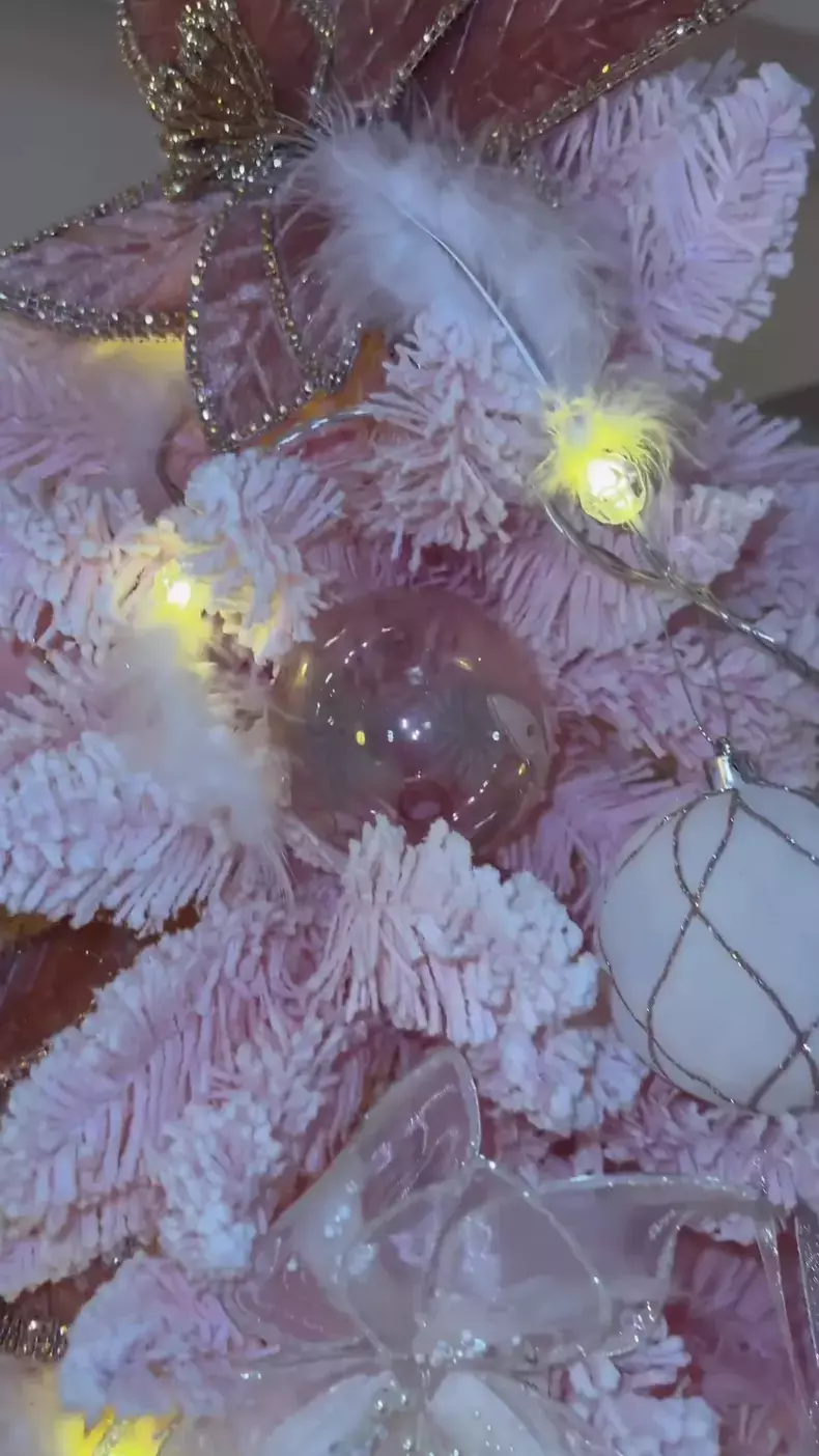 andreea-balan-brad-craciun-roz-5