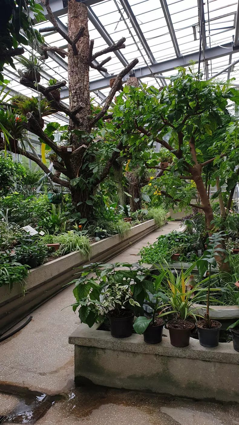 Incursiune de poveste prin „Raiul” sălăjean, la „ROventura”, Kanal D