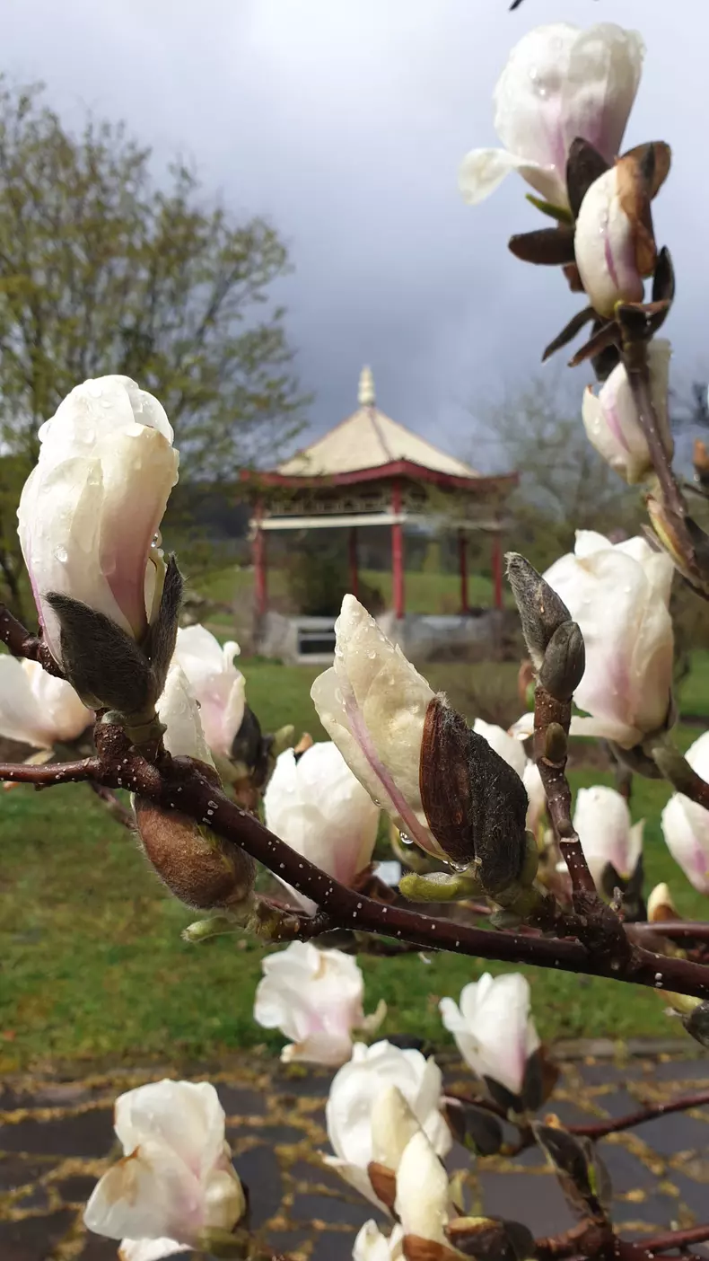 Incursiune de poveste prin „Raiul” sălăjean, la „ROventura”, Kanal D