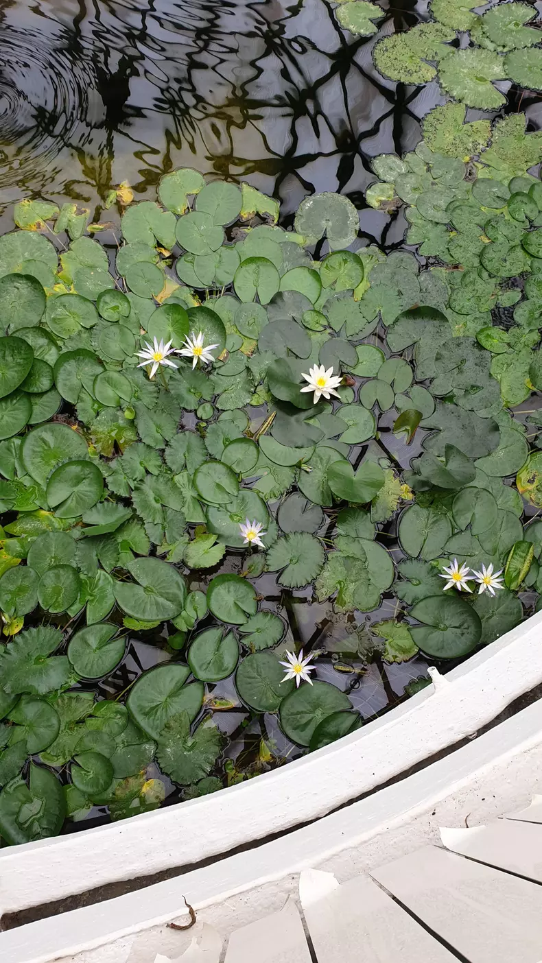 Incursiune de poveste prin „Raiul” sălăjean, la „ROventura”, Kanal D