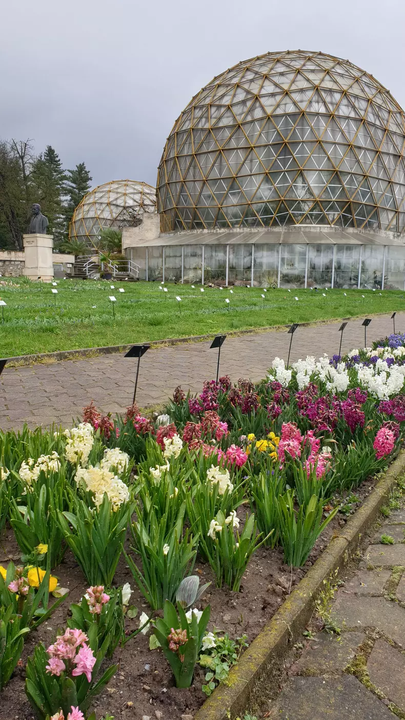 Incursiune de poveste prin „Raiul” sălăjean, la „ROventura”, Kanal D