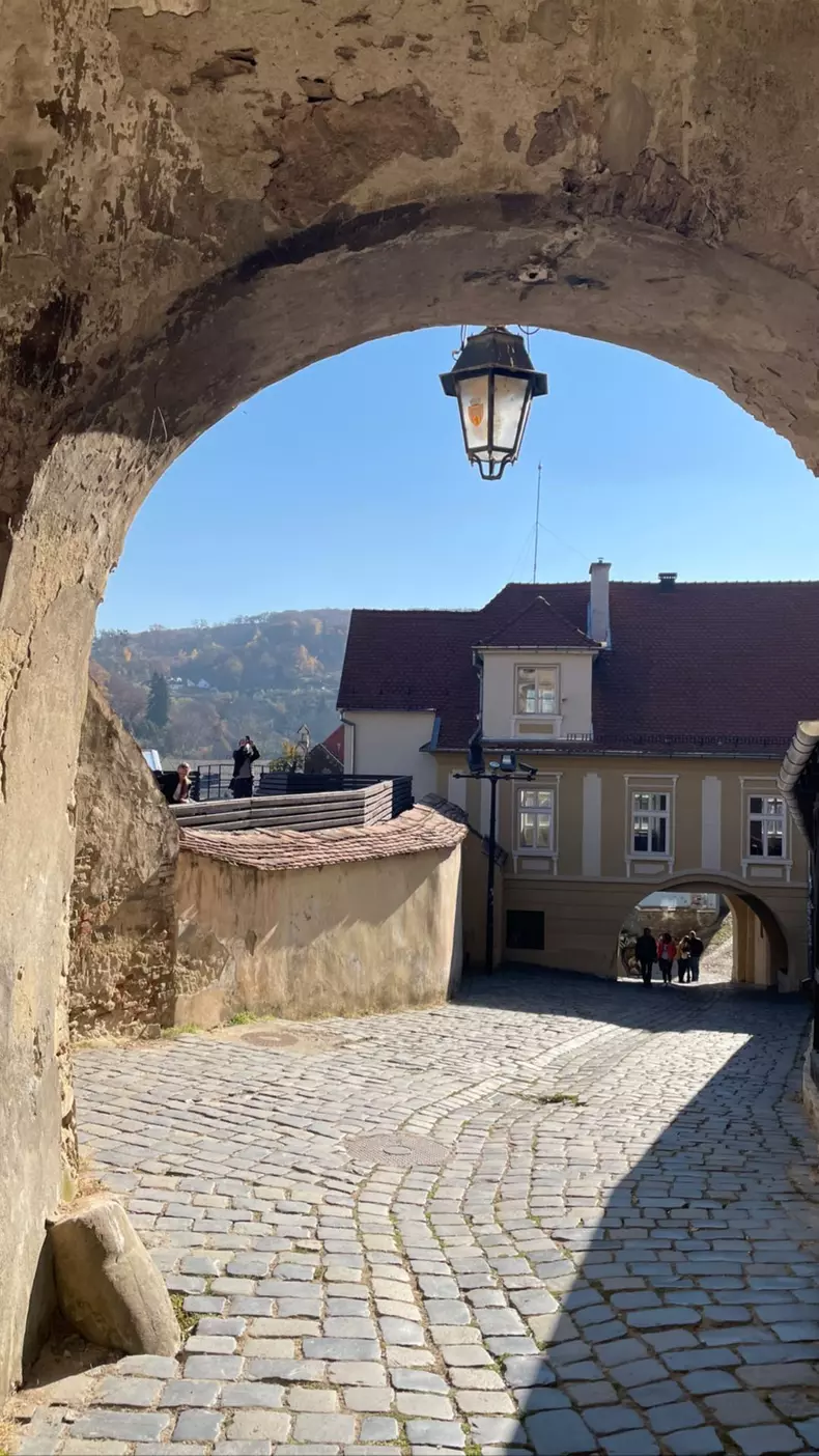 A-spus-din-nou-„Da.-Mirela-Vaida-ceruta-din-nou-in-casatorie.-Cum-arata-noul-inel-al-vedetei-3