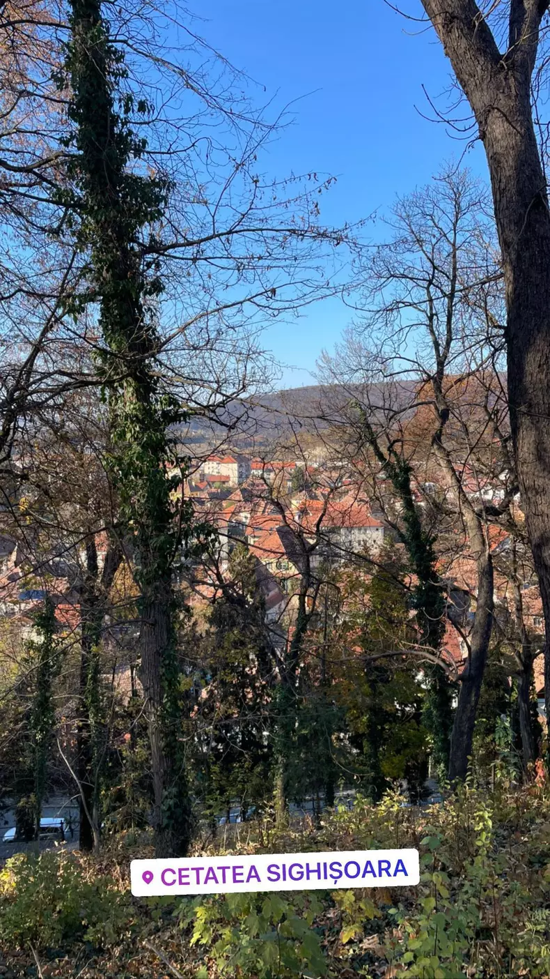 A-spus-din-nou-„Da.-Mirela-Vaida-ceruta-din-nou-in-casatorie.-Cum-arata-noul-inel-al-vedetei-5