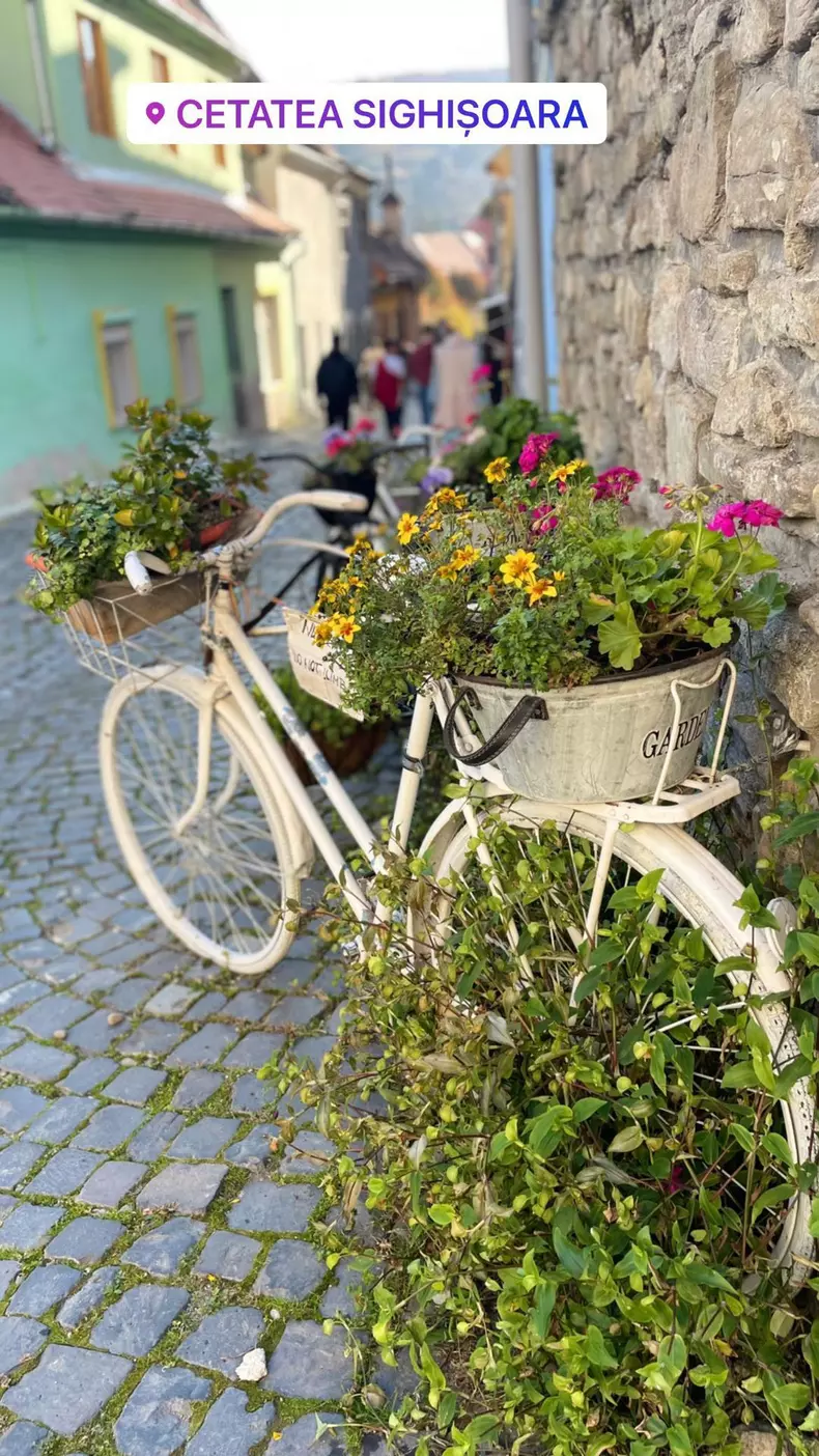 A-spus-din-nou-„Da.-Mirela-Vaida-ceruta-din-nou-in-casatorie.-Cum-arata-noul-inel-al-vedetei-8