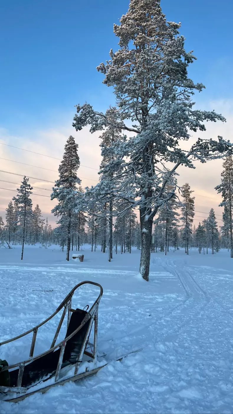 anca-dumitra-laponia-2