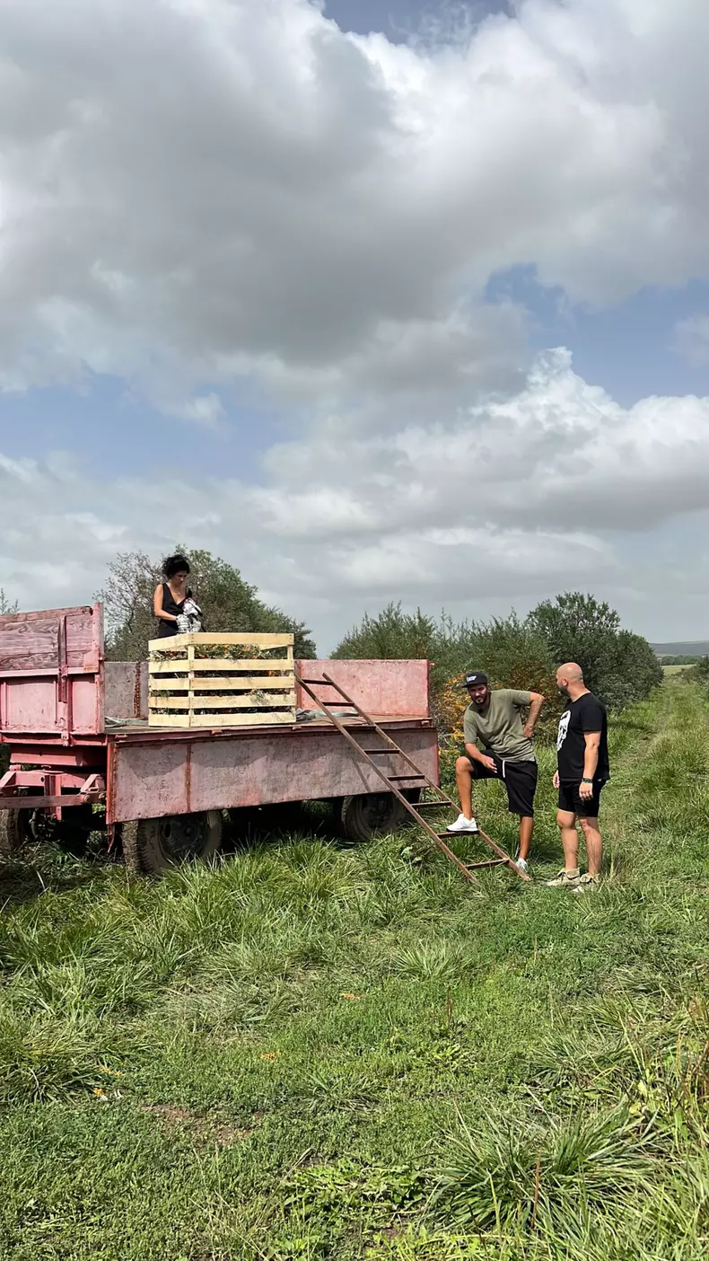 poftiti-pe-la-noi_piatra-neamt_3