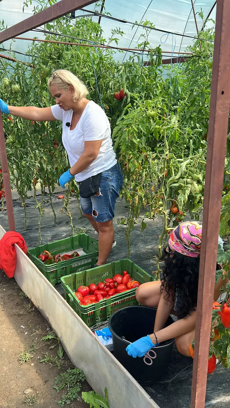 poftiti-pe-la-noi_piatra-neamt_8