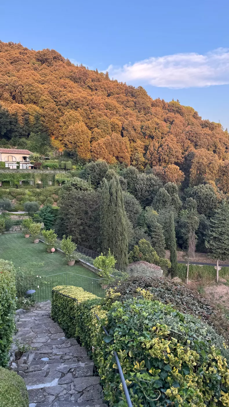 Smiley şi Gina Pistol, Irina şi Răzvan Fodor, Radu Vâlcan şi Adela Popescu (9)