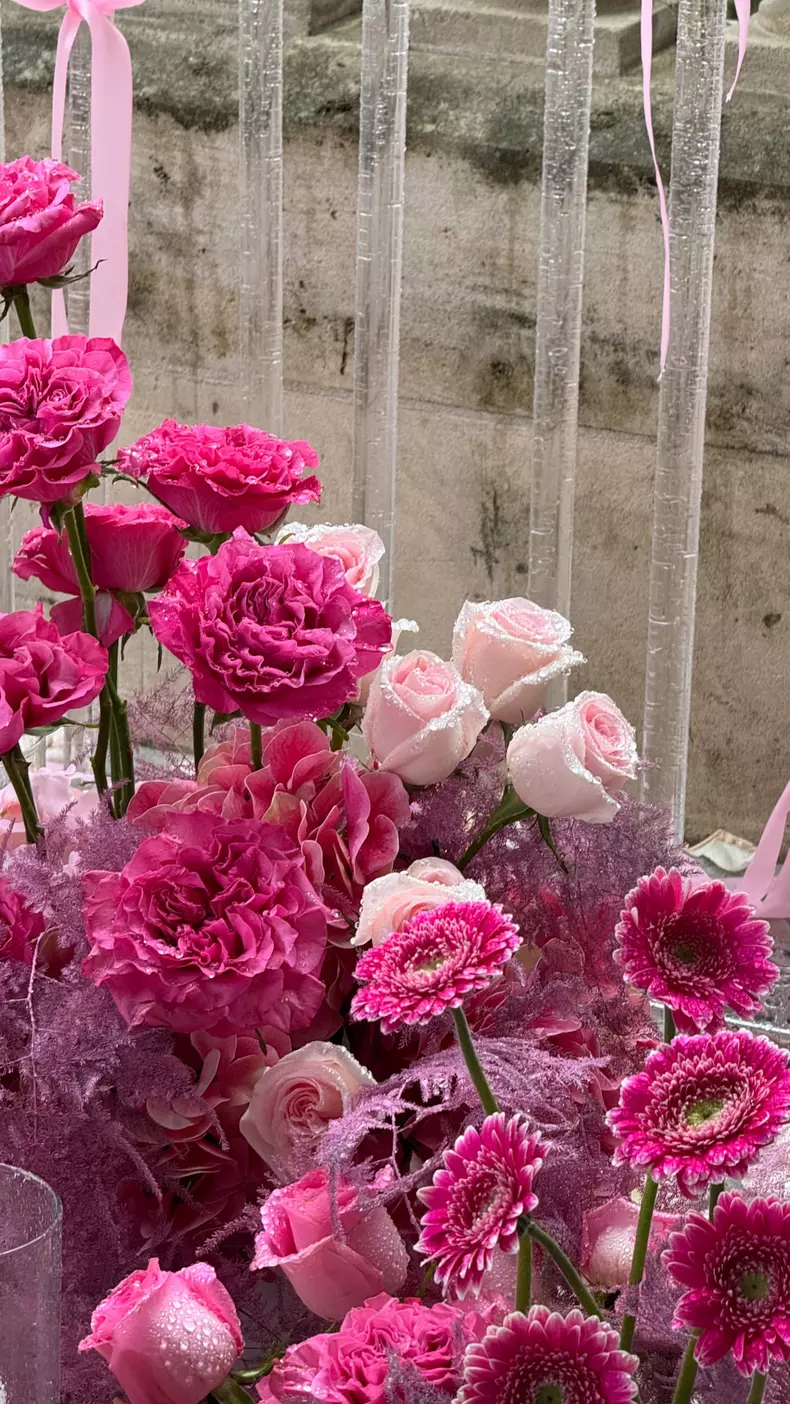 Andreea Bostănică aniversare 20 de ani la Paris (3)