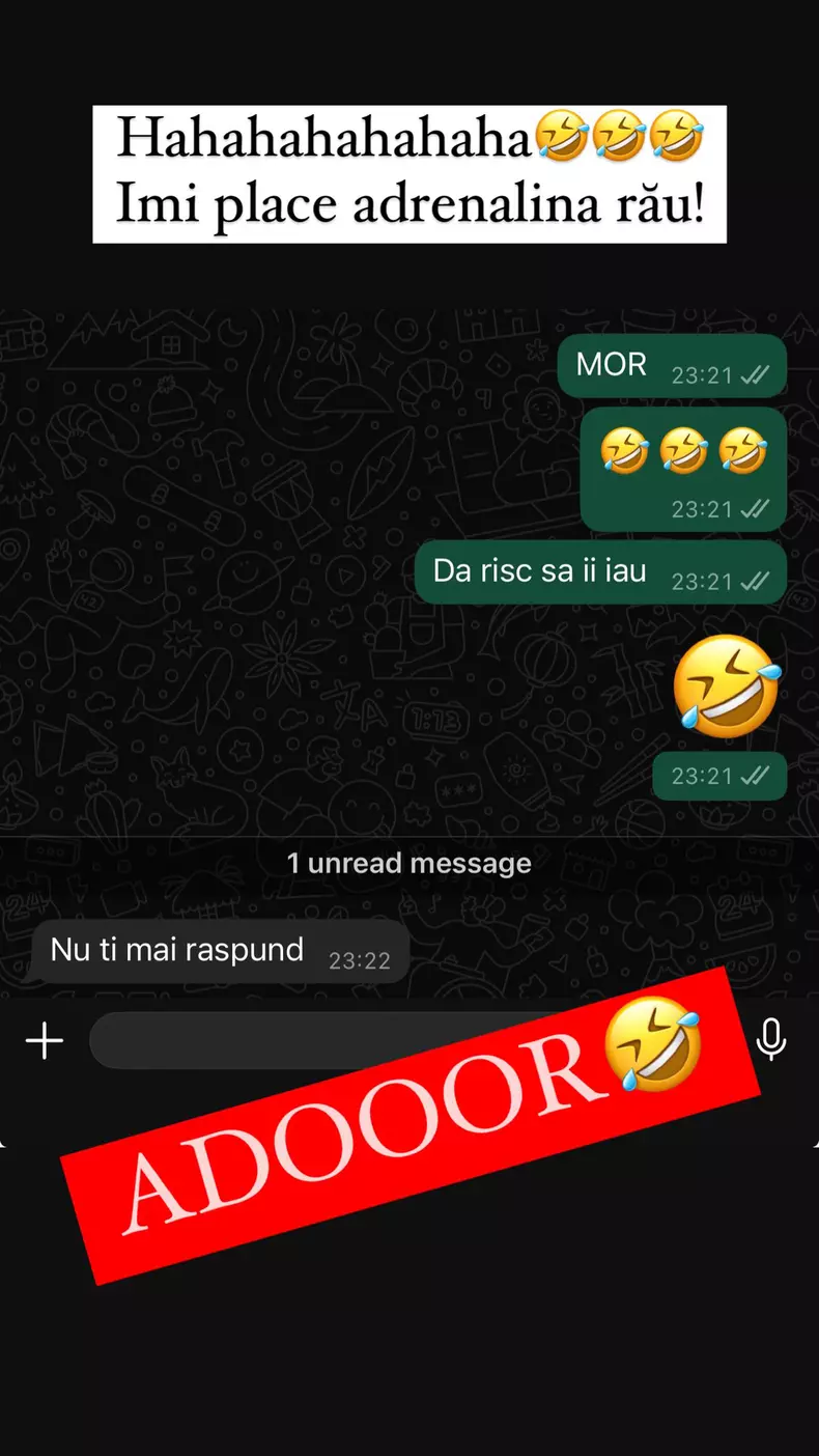 Lidia Buble și Horațiu Nicolau conversație WhatsApp (1)