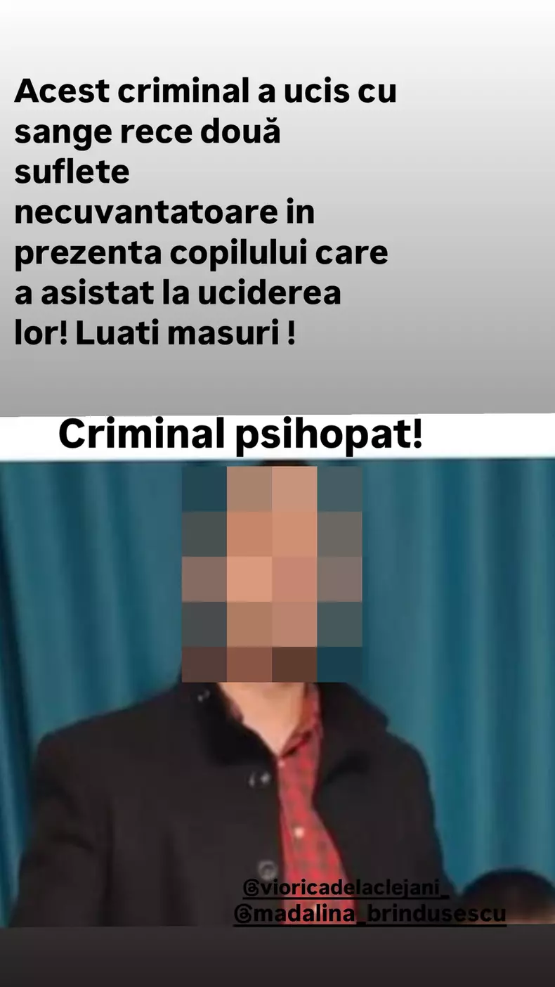 Bianca Drăgușanu cere să se facă dreptate după ce un bărbat din Tulcea a ucis cu bâta doi câini de talie mică (1)